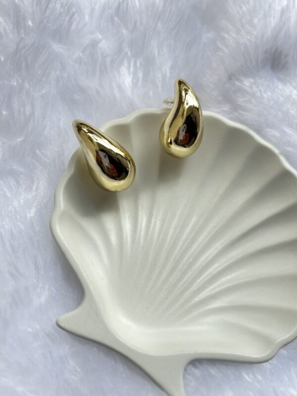 Anti-Tarnish Ear Rings - Image 3