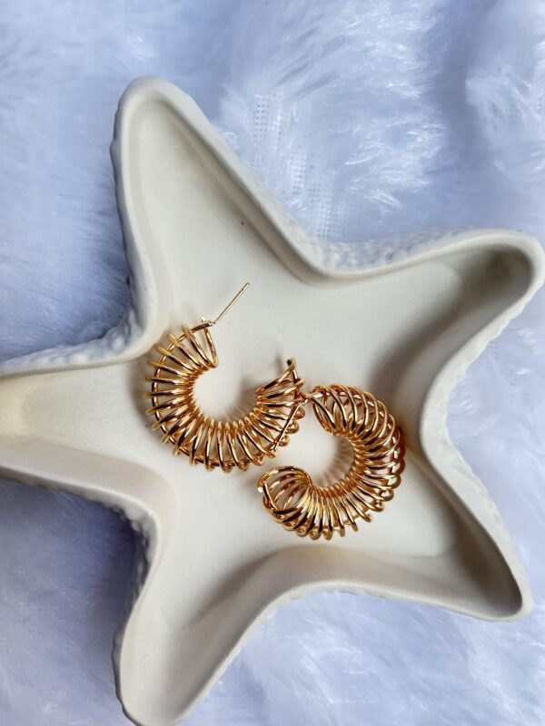 Anti Tarnish Earrings - Image 2