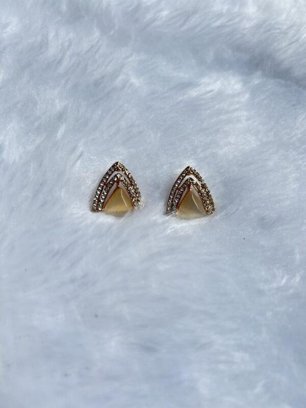 Anti Tarnish Earrings - Image 3