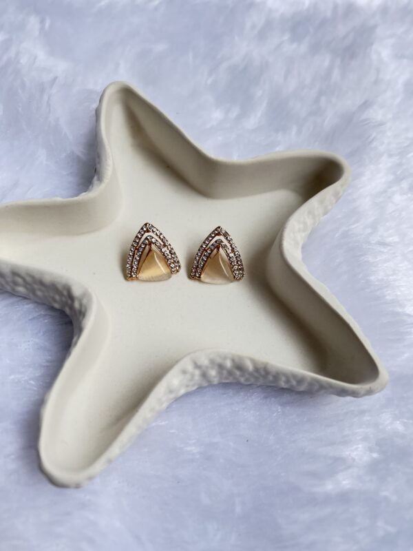 Anti Tarnish Earrings