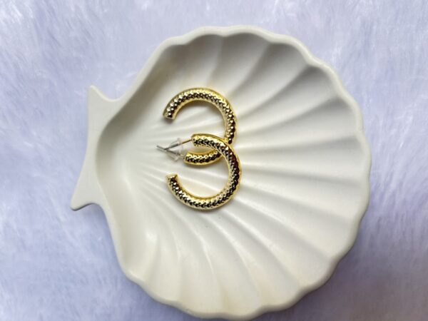 Anti Tarnish Gold Earrings