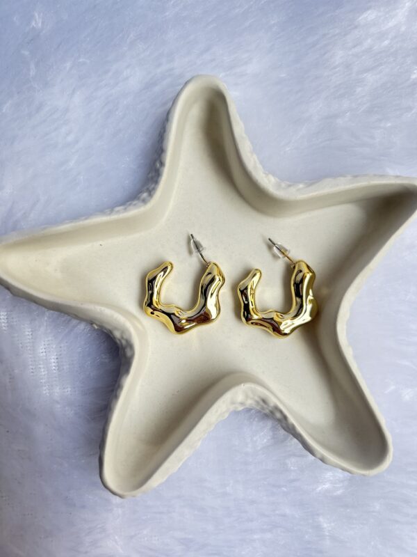 Anti Tarnish Earrings - Image 2