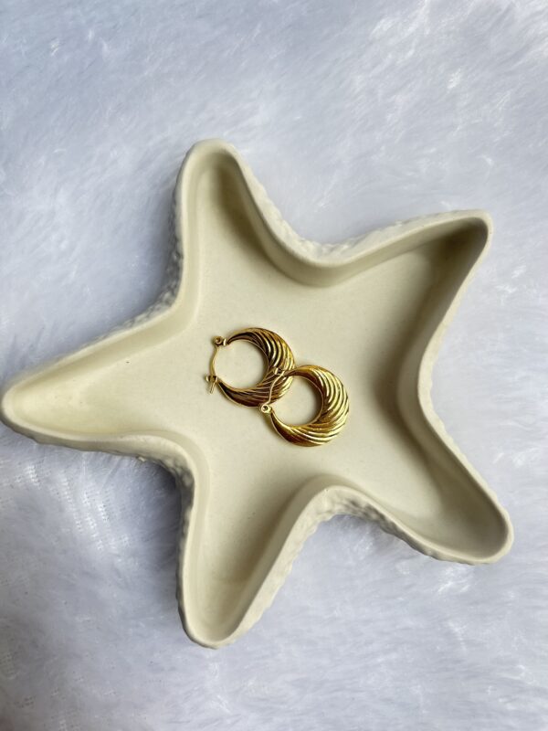 Anti Tarnish Earrings - Image 2