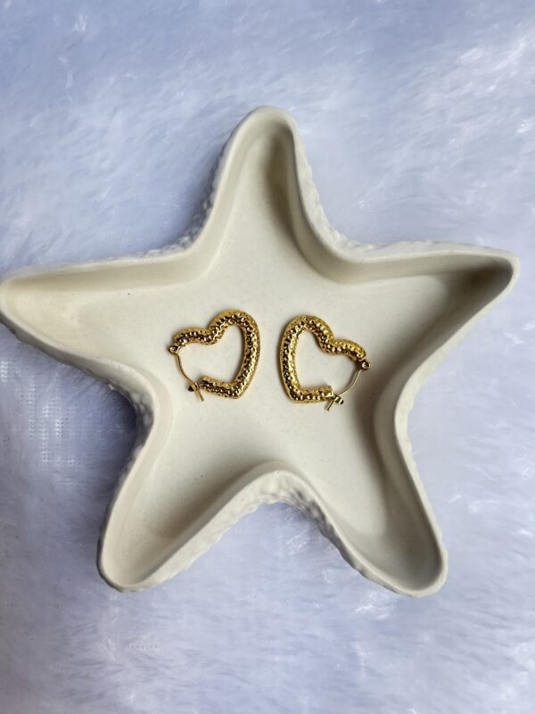 Anti Tarnish Gold Earring - Image 2