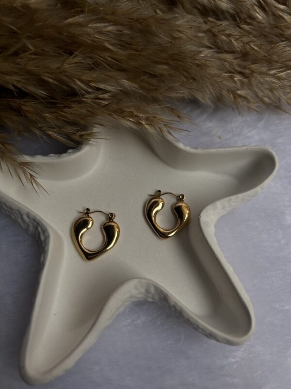 Anti Tarnish earrings