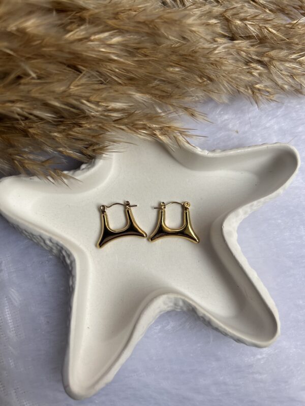 Anti Tarnish earrings