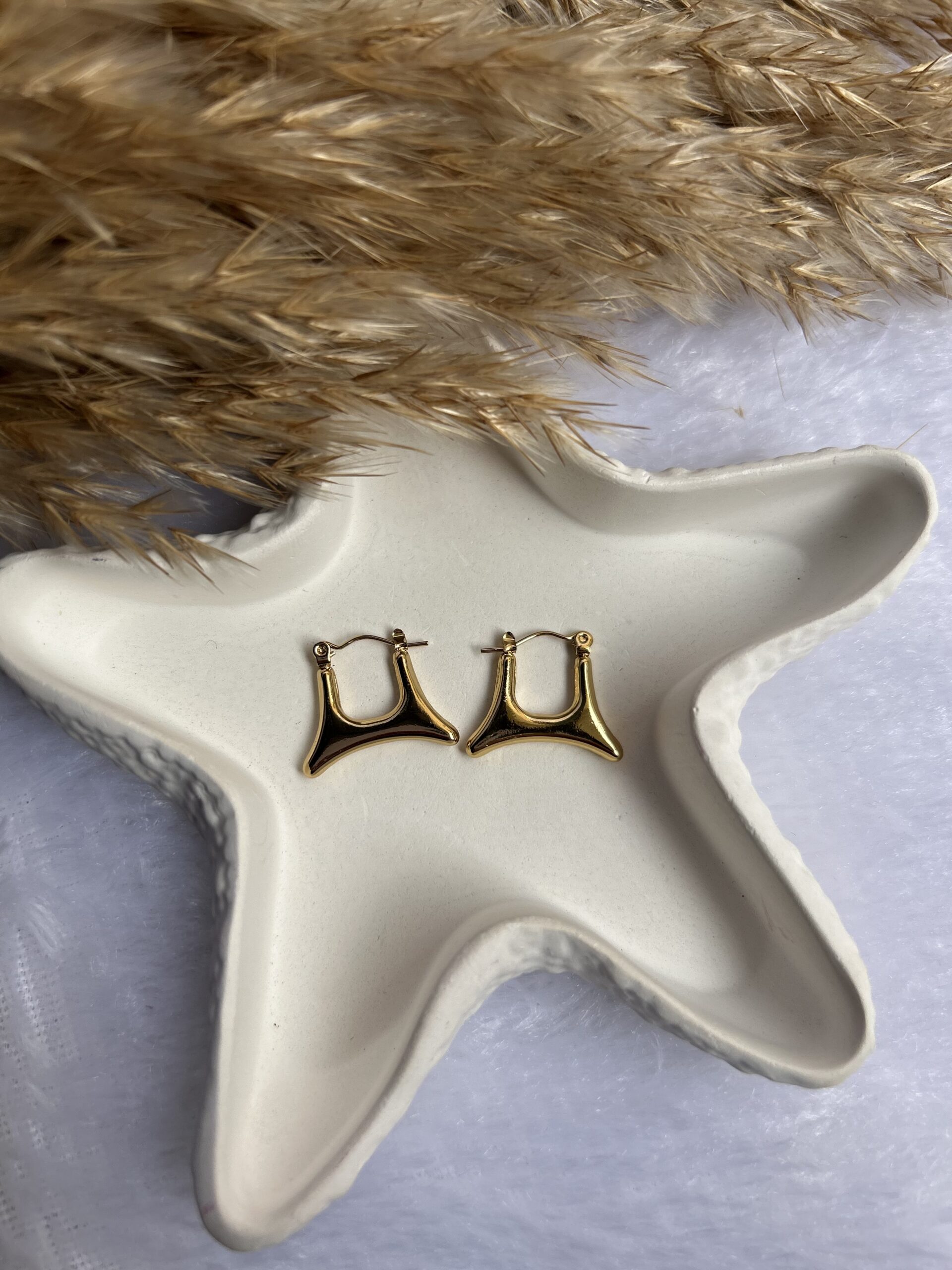 Anti Tarnish earrings