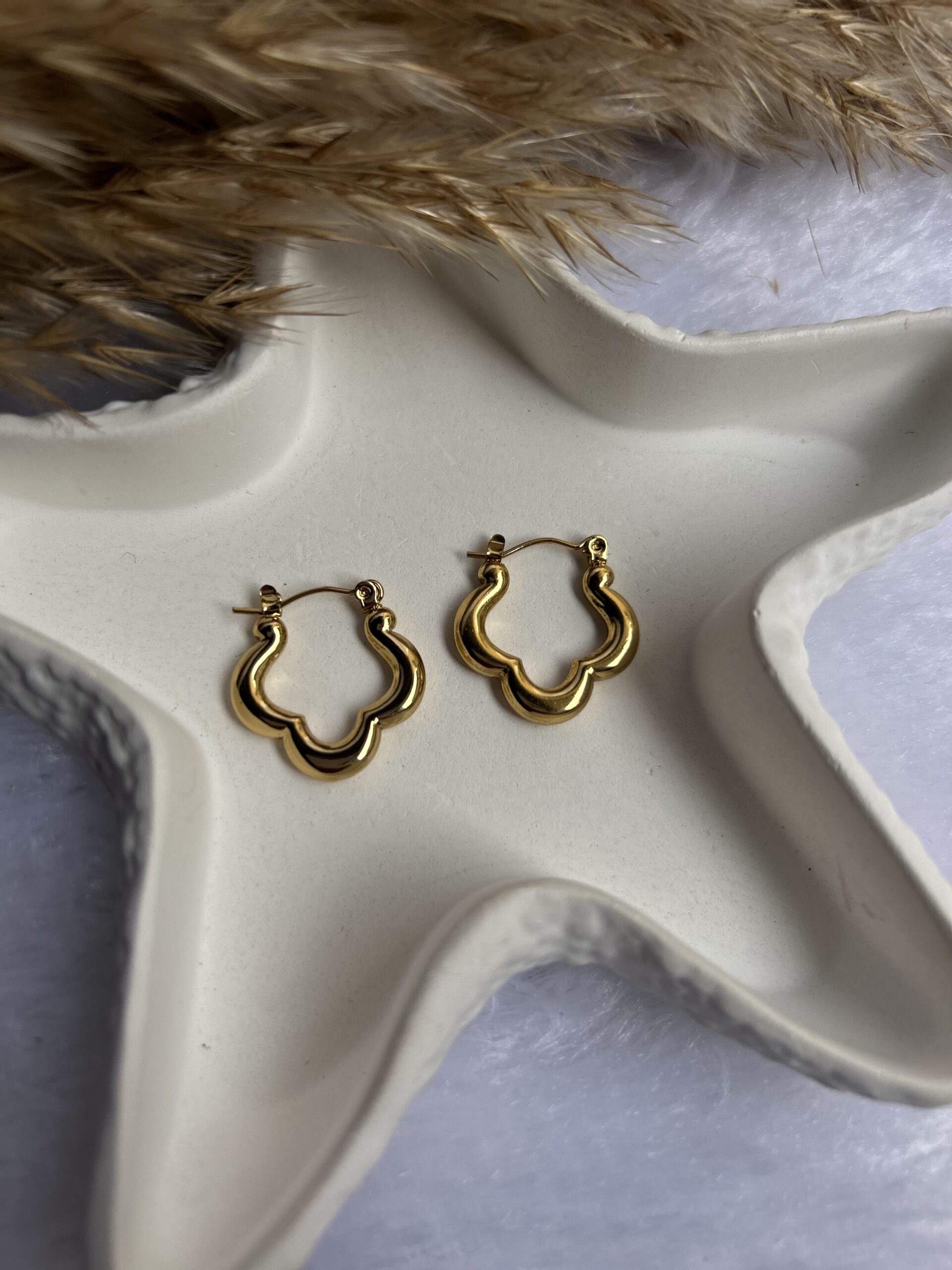 Anti Tarnish Earrings