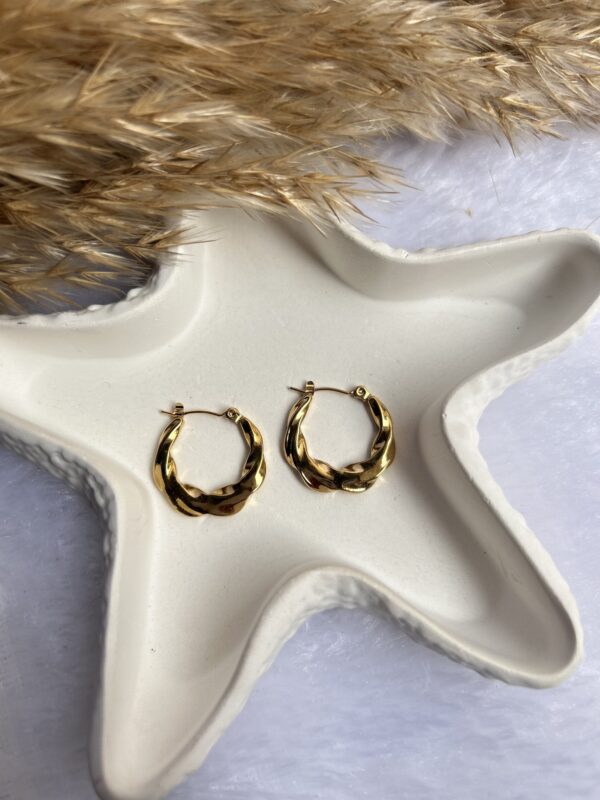 Anti tarnish Earrings