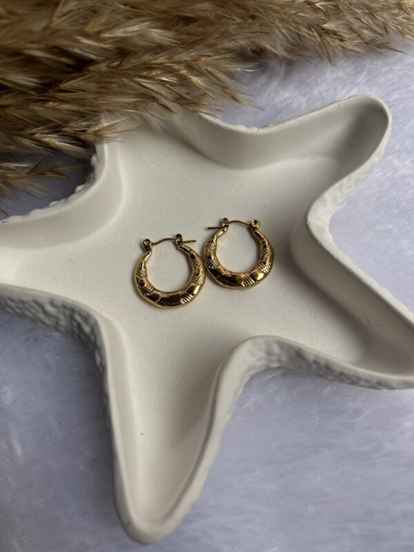 Anti Tarnish Earrings - Image 2
