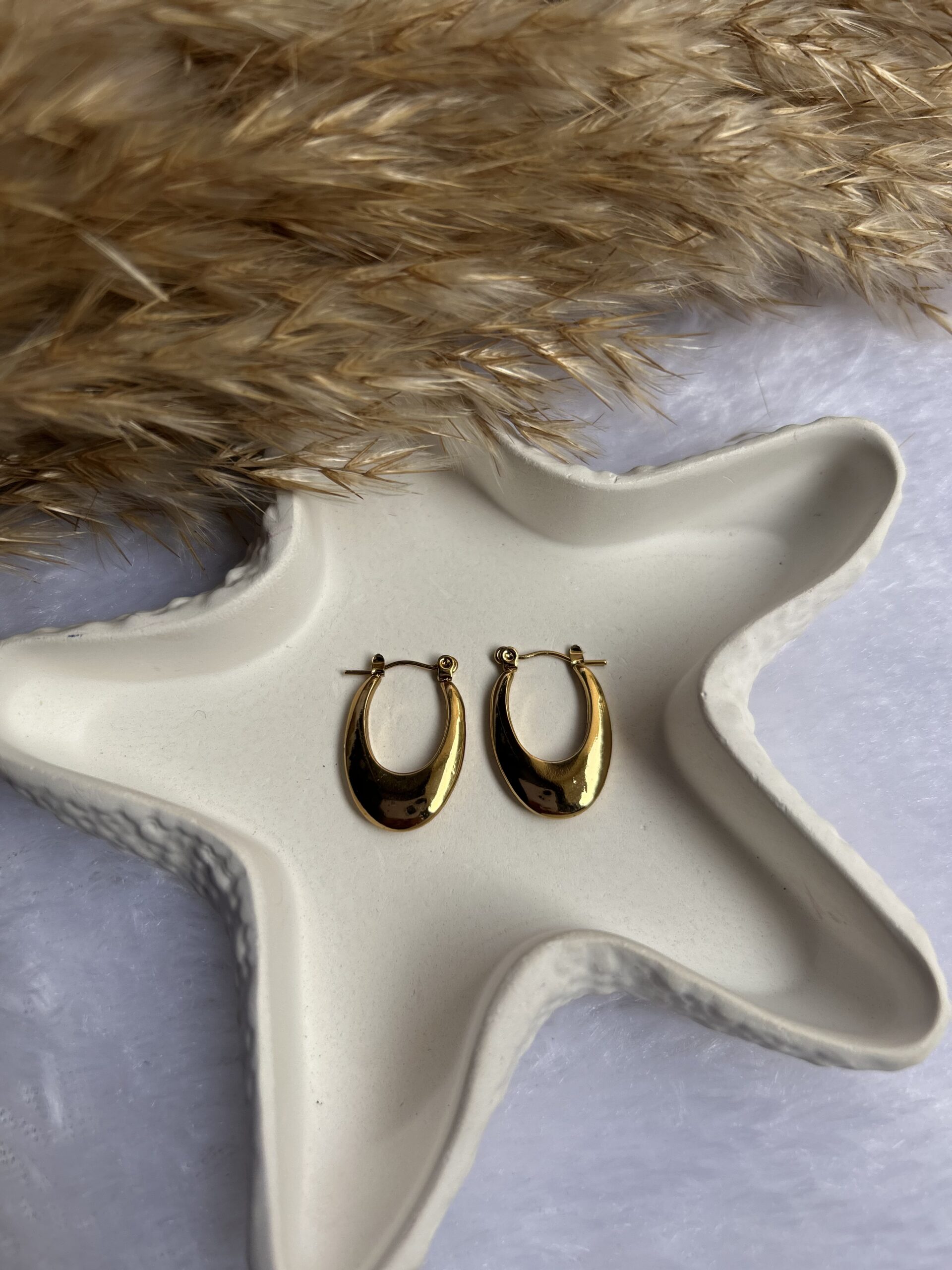 Anti Tarnish earrings