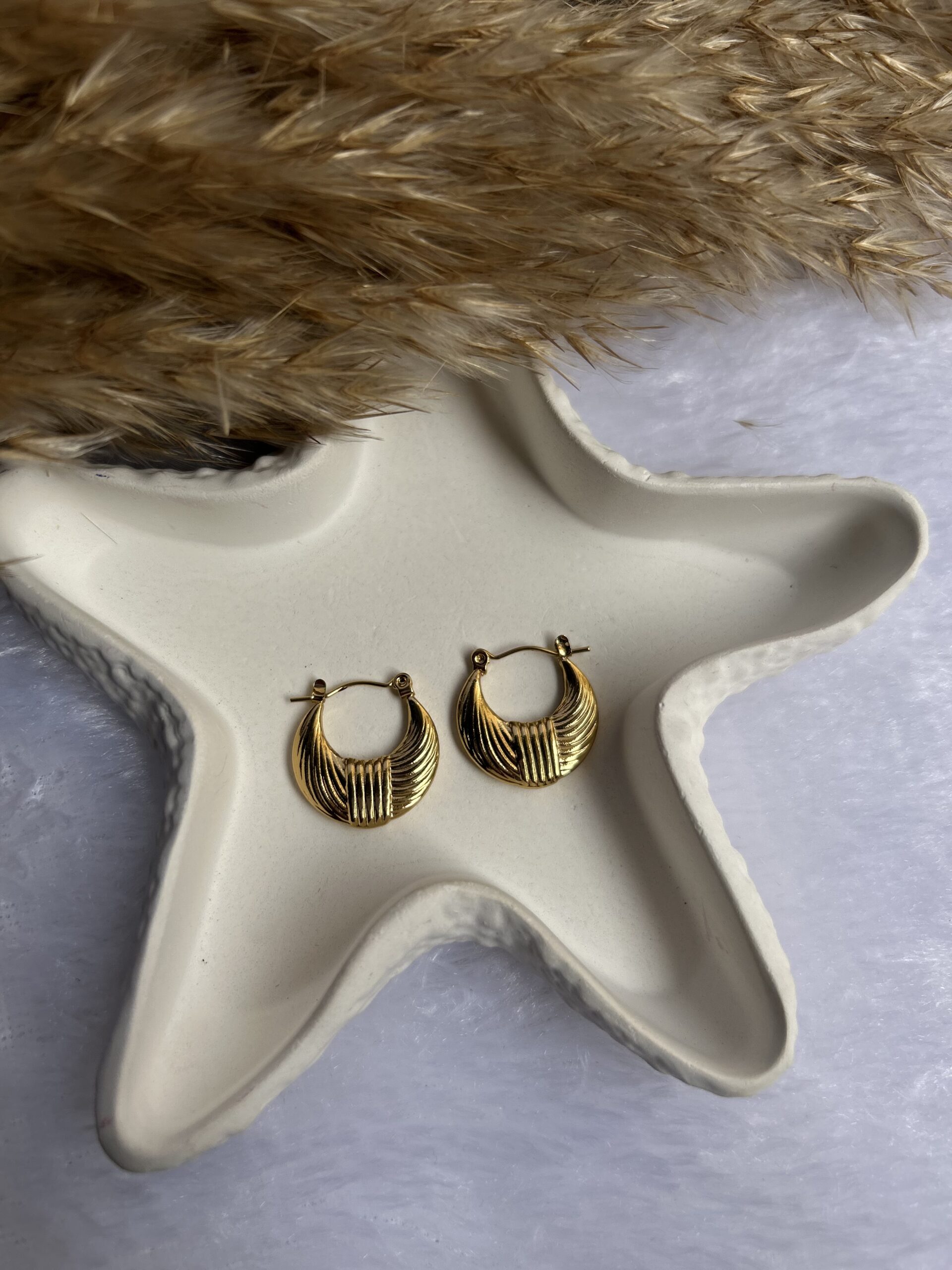 Anti tarnish Earrings