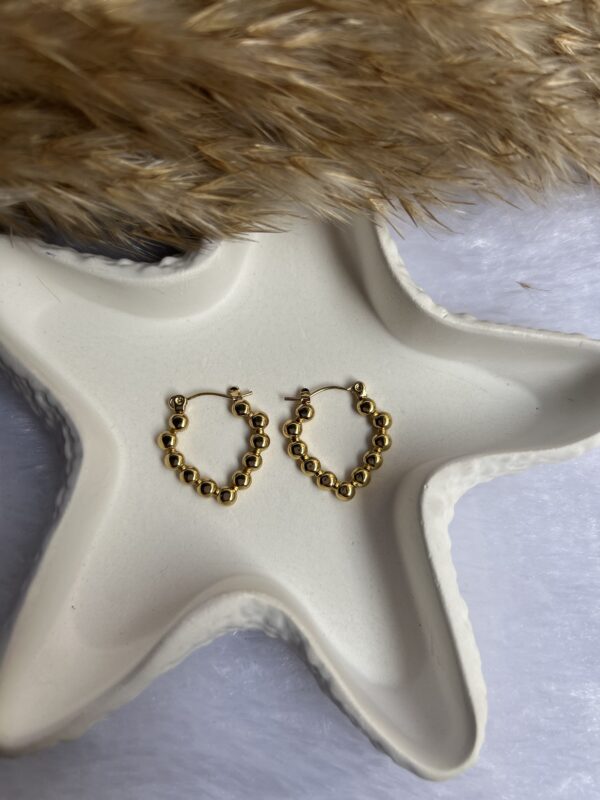 Anti tarnish Earrings - Image 2