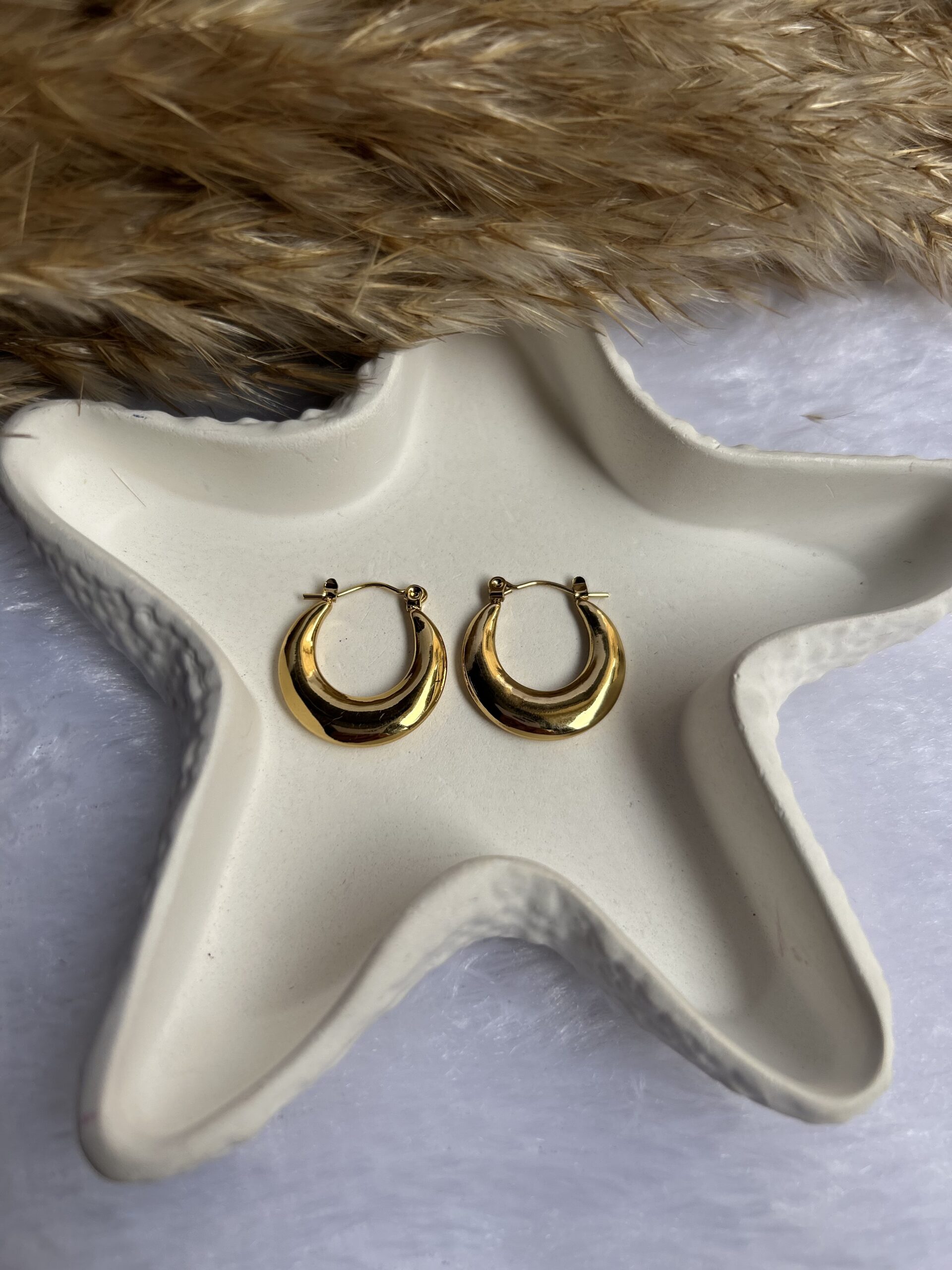 Anti Tarnish earrings