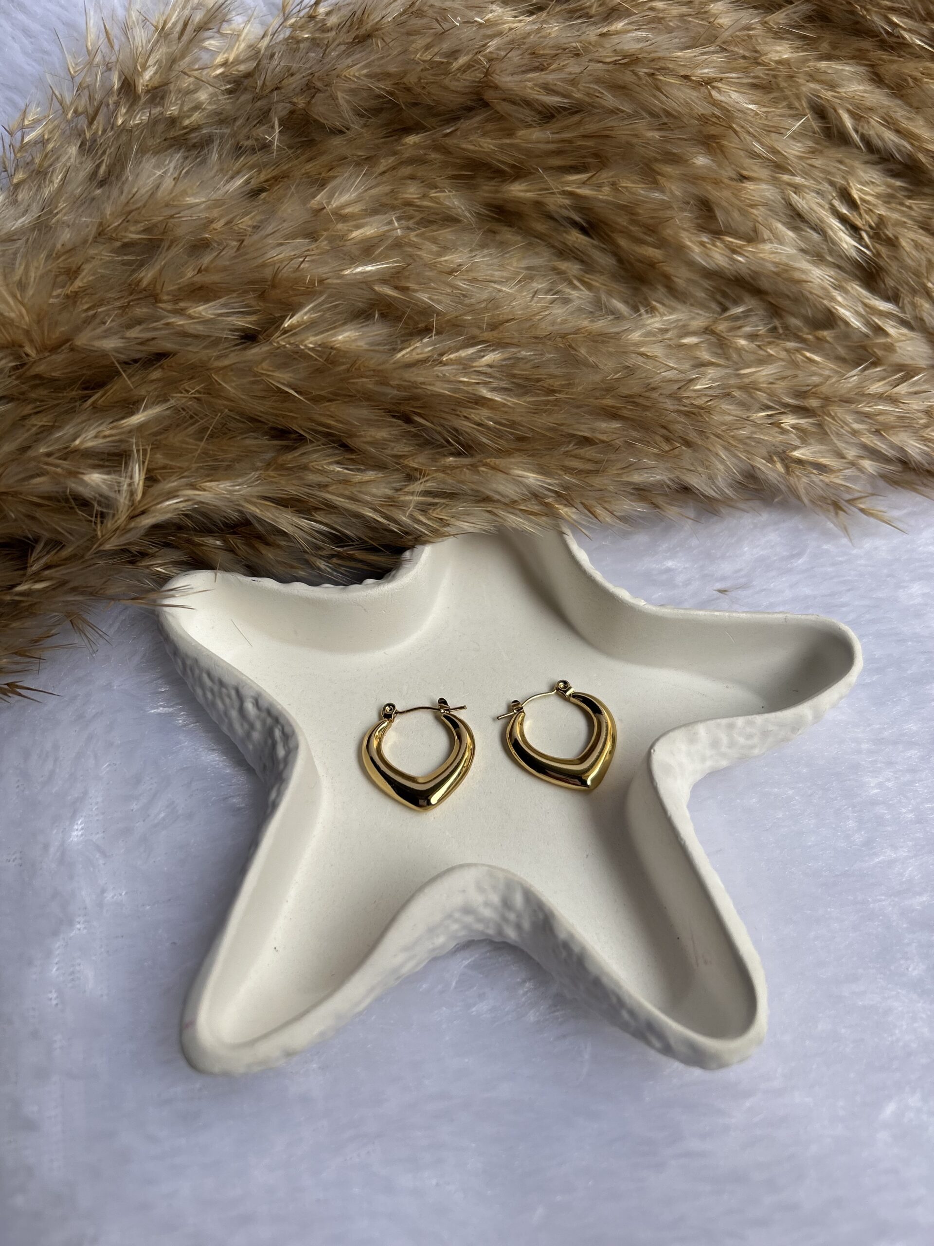 Anti tarnish Earrings