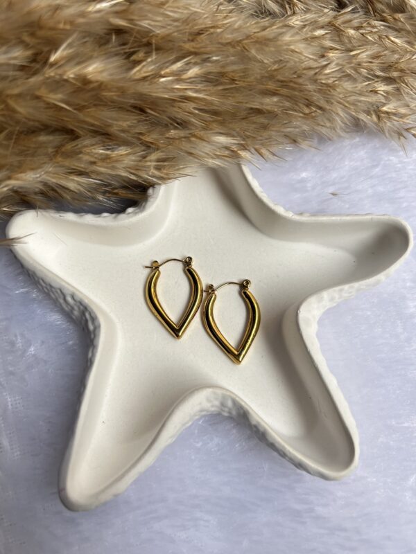 Anti tarnish earrings