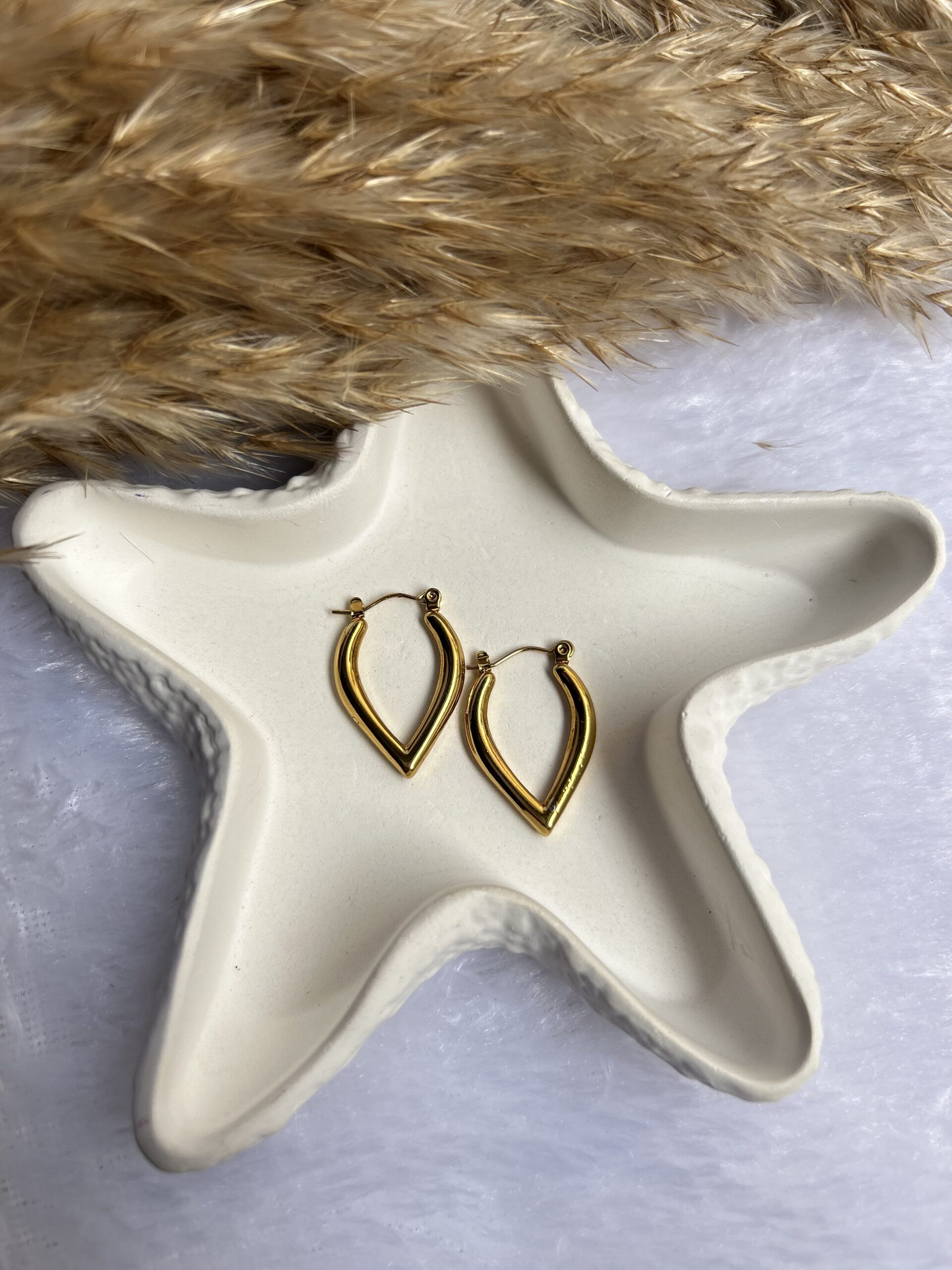 Anti tarnish earrings