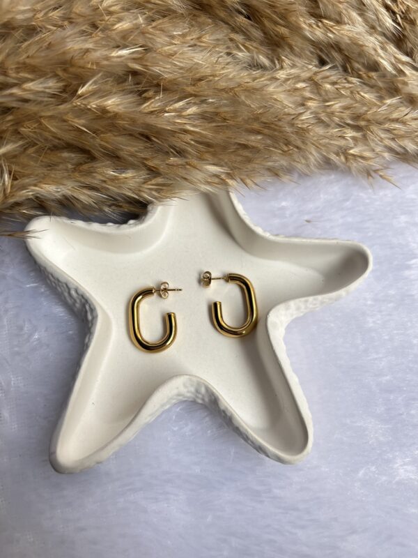 Anti tarnish earrings - Image 2