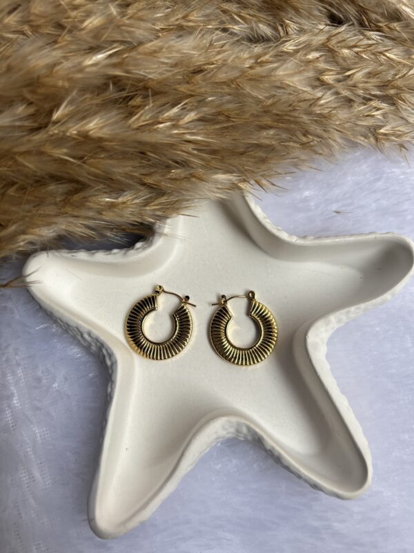 Anti tarnish earrings - Image 2