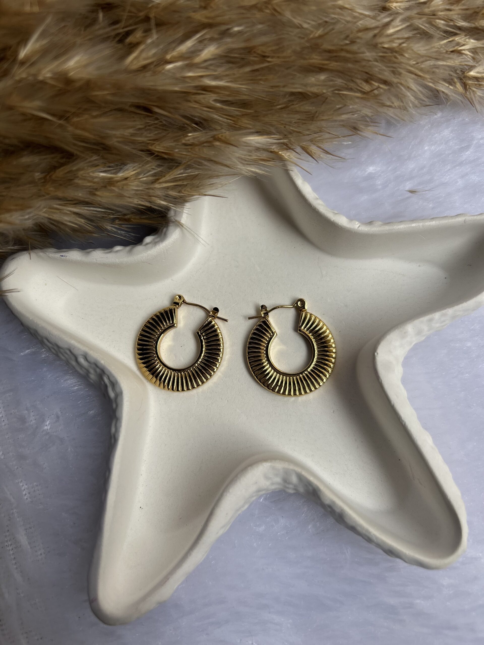 Anti tarnish earrings