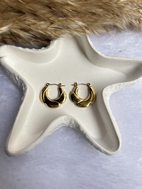 Anti tarnish earrings