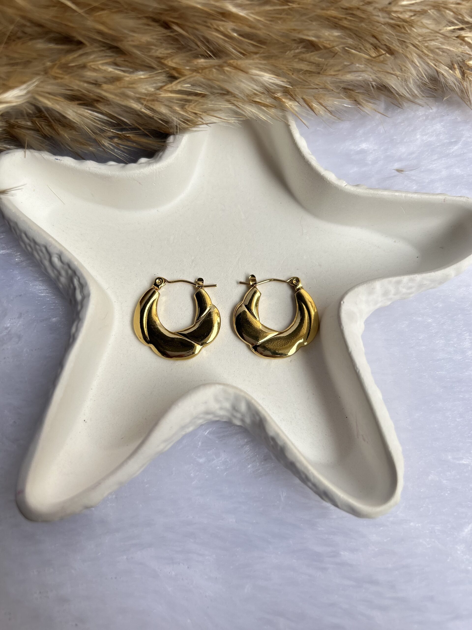 Anti tarnish earrings
