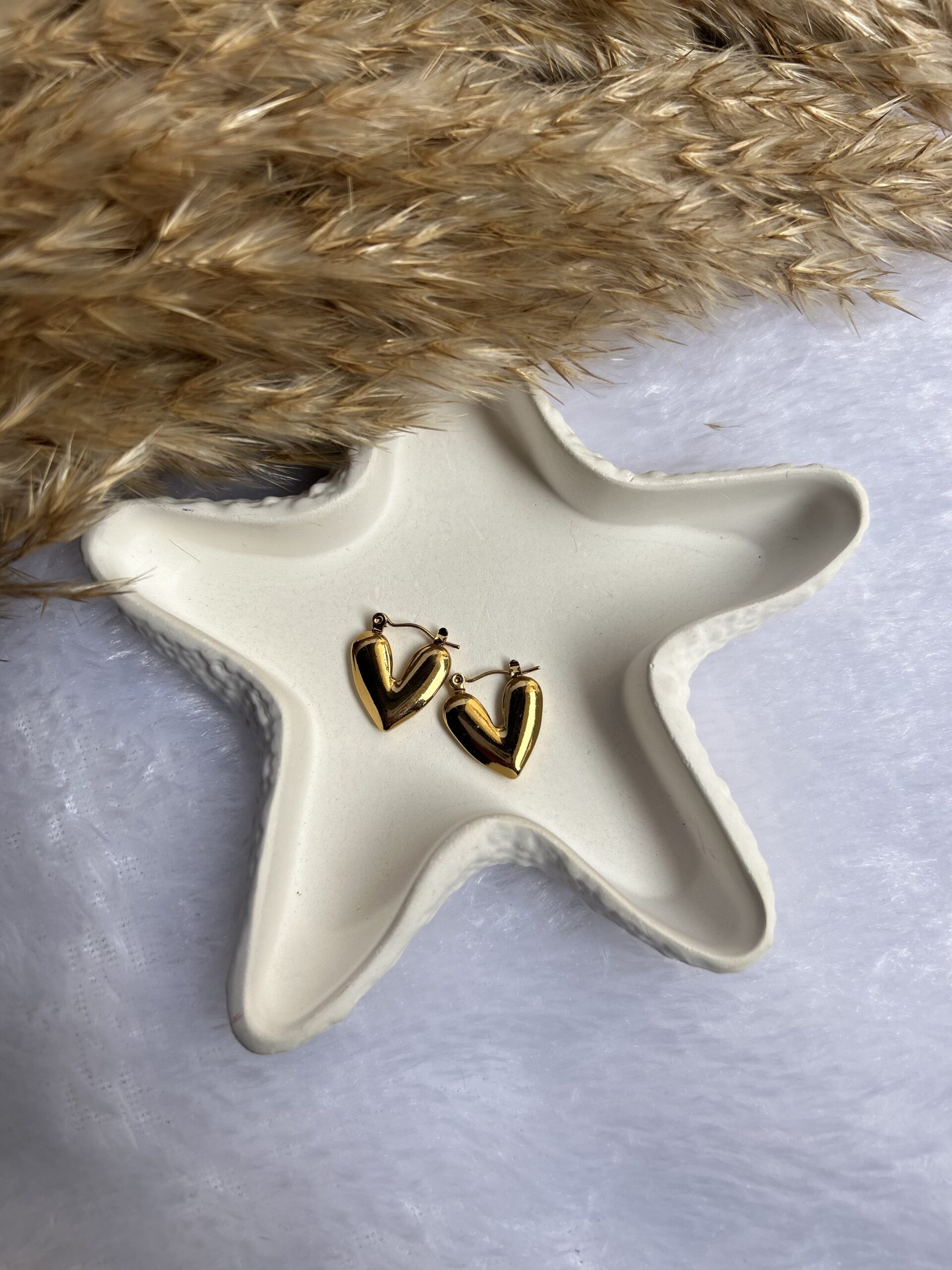 Anti tarnish earrings
