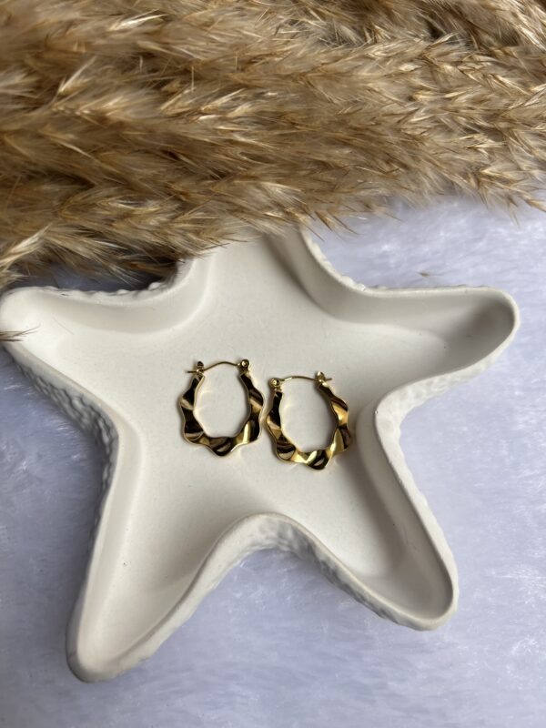 Anti tarnish earrings