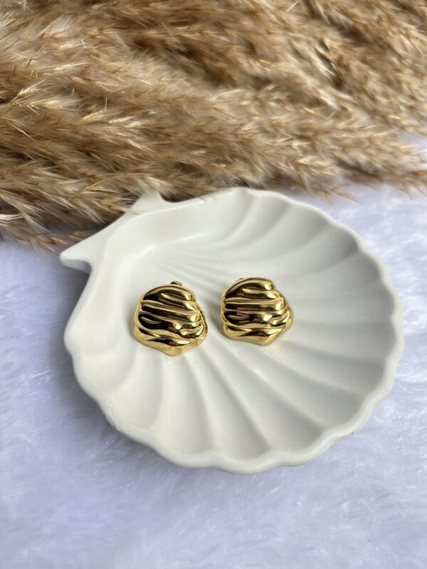Anti Tarnish Earrings - Image 2