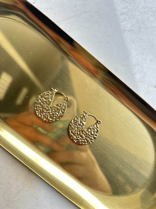 Anti tarnish earrings - Image 2